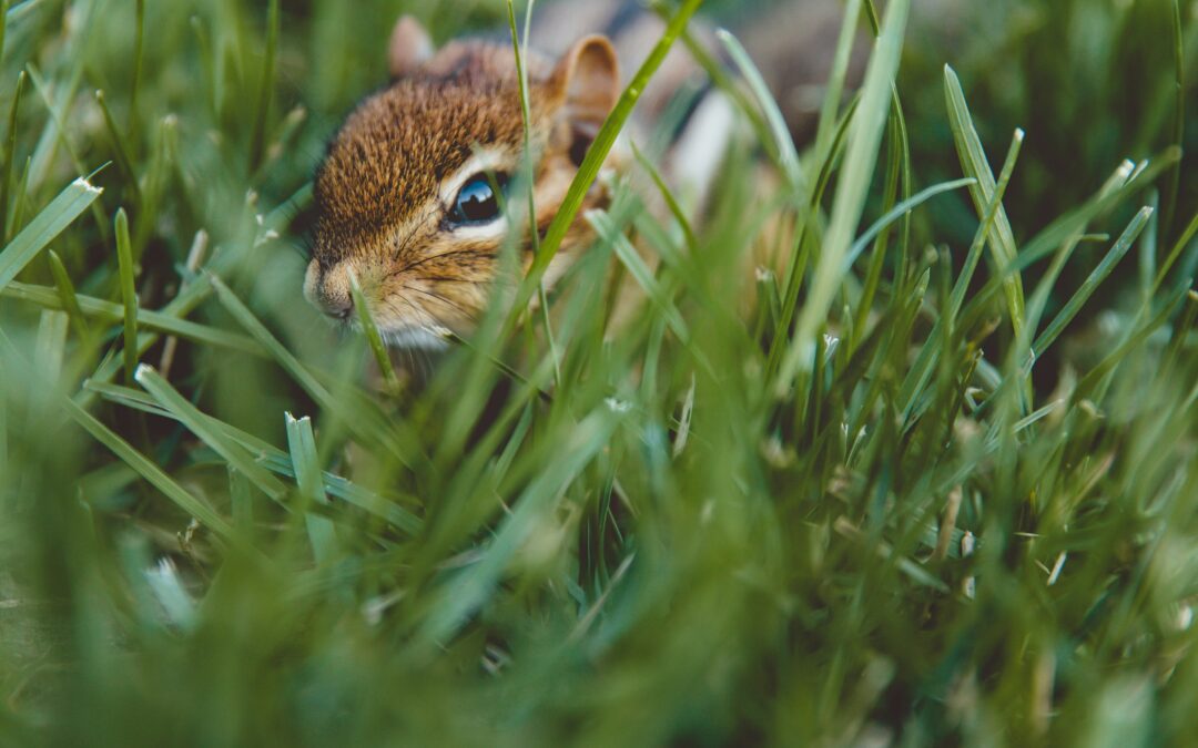 Sustaining Little Lives