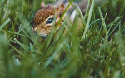 Sustaining Little Lives